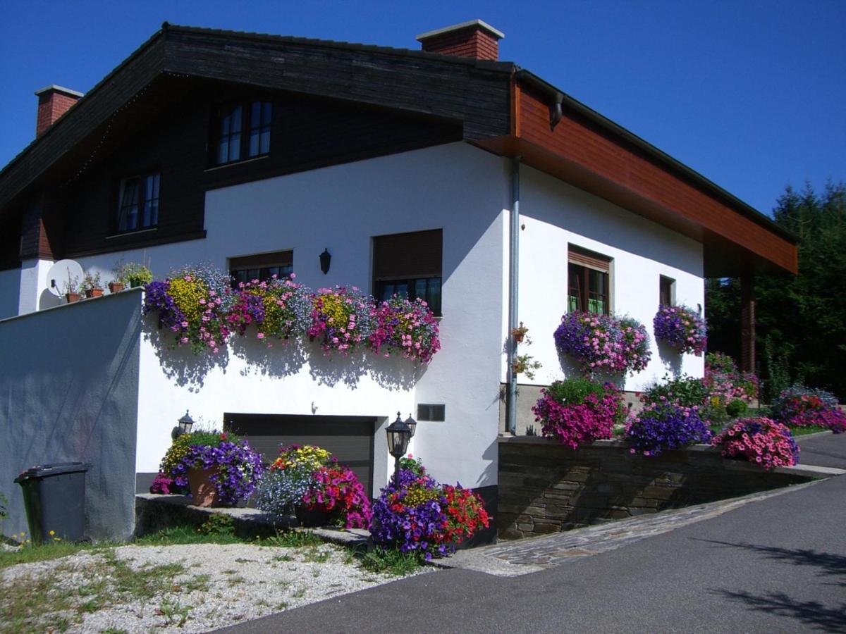 Haus Wutzl Διαμέρισμα Mariazell Εξωτερικό φωτογραφία